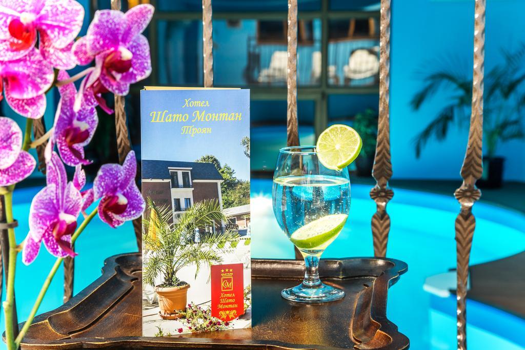 Chateau Montagne Hotel Troyan ترويان المظهر الخارجي الصورة